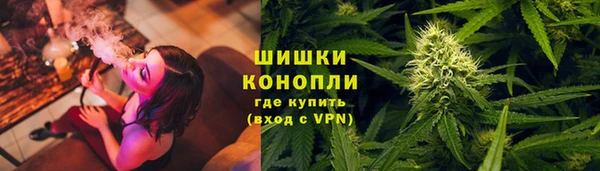 Альфа ПВП Новозыбков