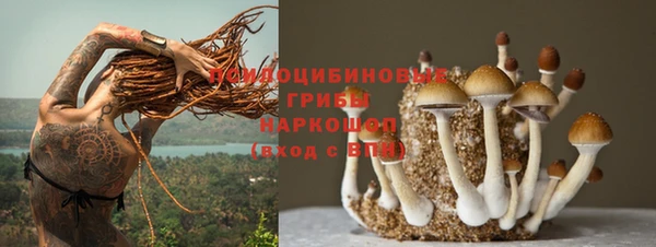 прущий лед Беслан