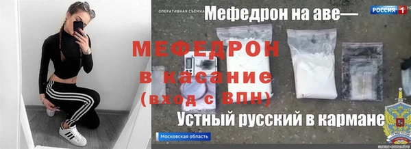 трава Няндома