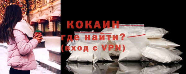трава Няндома