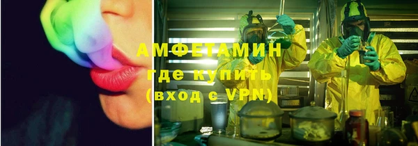 трава Няндома