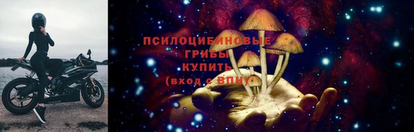 трава Бикин