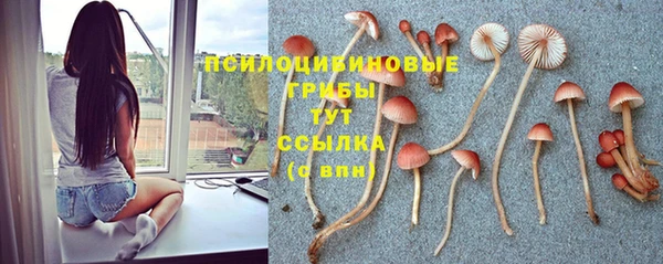 герыч Нягань