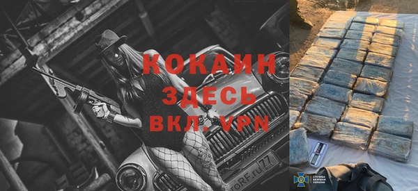 трава Няндома