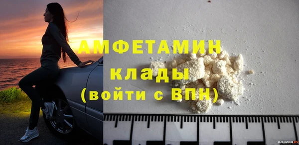 трава Няндома