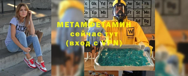 трава Няндома