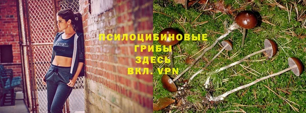 герыч Нягань