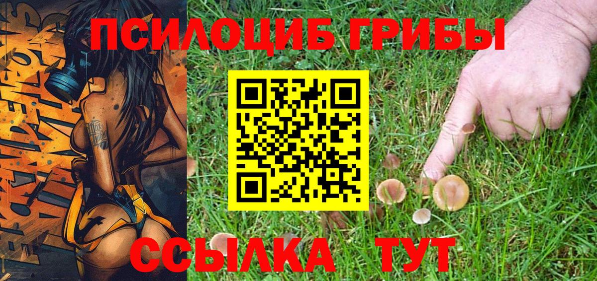 Галлюциногенные грибы мухоморы  Галлюциногенные грибы ЛСД  Луховицы 