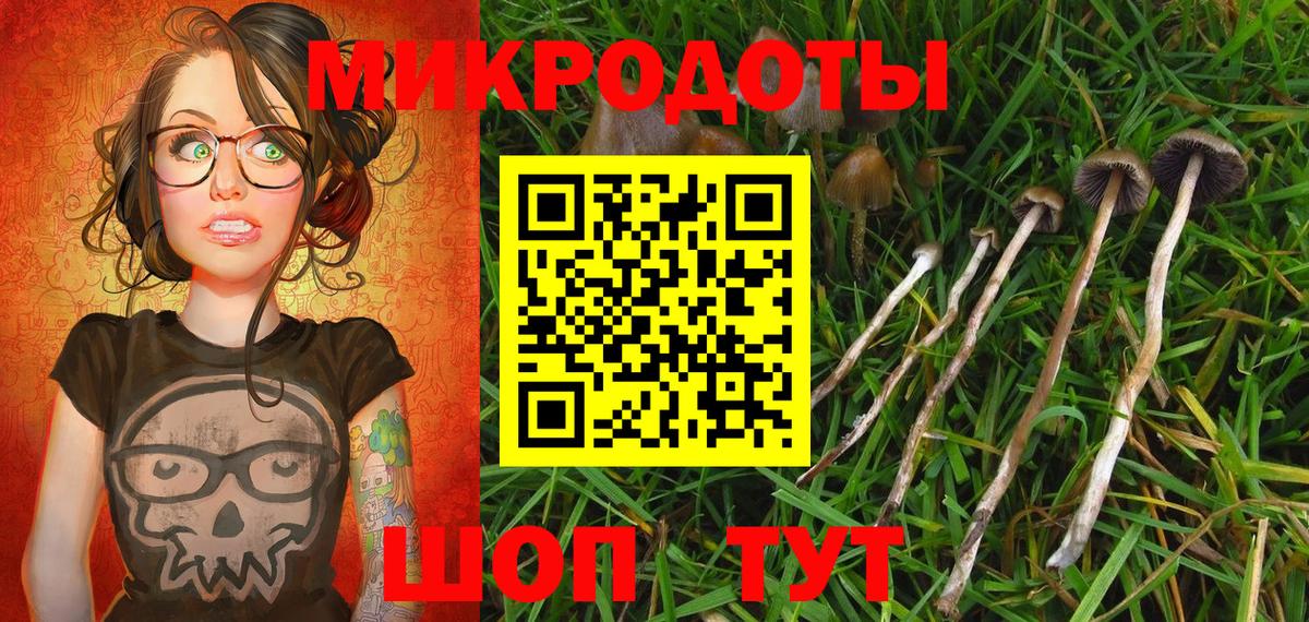 Галлюциногенные грибы GOLDEN TEACHER  Вход с VPN  как найти закладки  Луховицы 